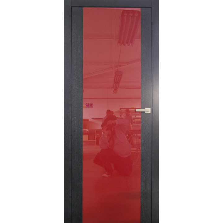 Drzwi CAL Vertical 31 | Twoje-Drzwi.pl